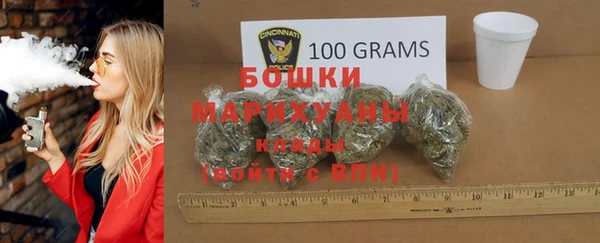 амф Дмитриев