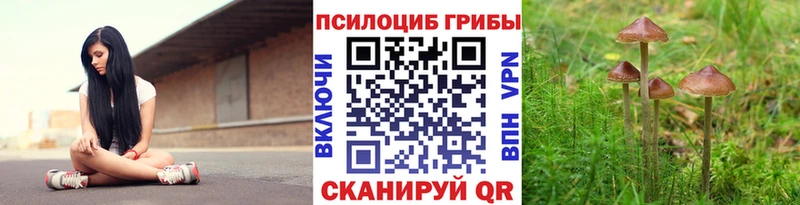 гидра как войти  Пласт  Галлюциногенные грибы MAGIC MUSHROOMS 